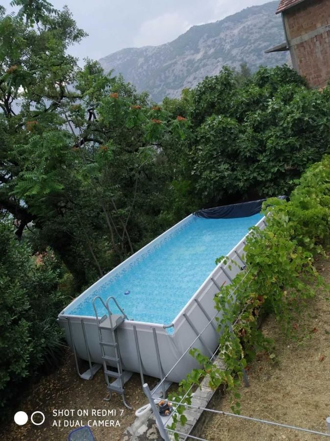 Апартаменты Villa Emilia Рисан-5